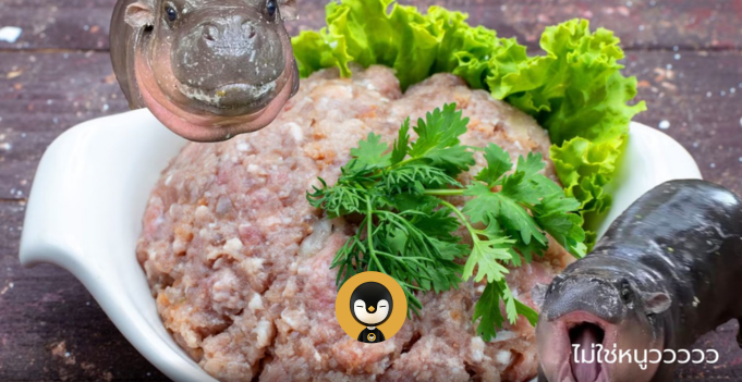 แจกสูตรหมูเด้งทำเอง หมูเด้ง Homemade อร่อยเด้งดึ๋ง ปลอดภัย สะอาด